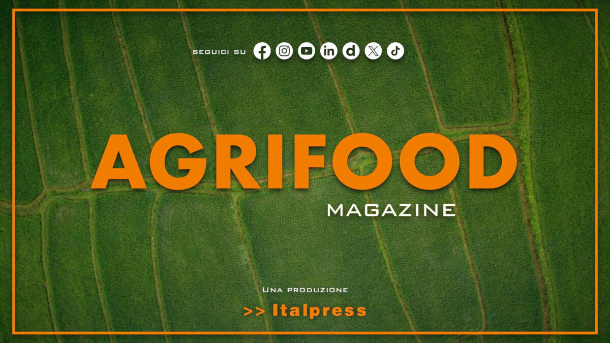 Agrifood Magazine - 11/6/2025 - 