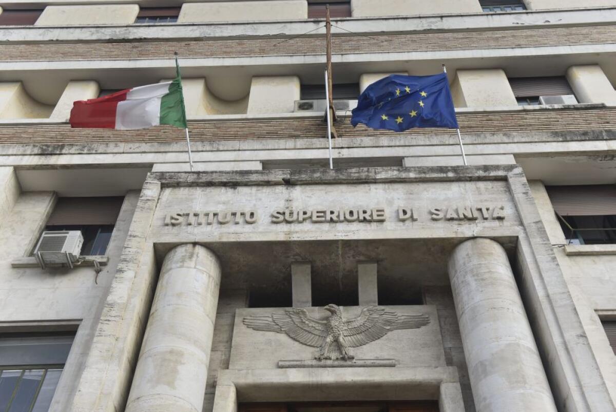 Istituto Superiore di Sanità, in Italia 14 over 65 su 100 hanno una disabilità - 