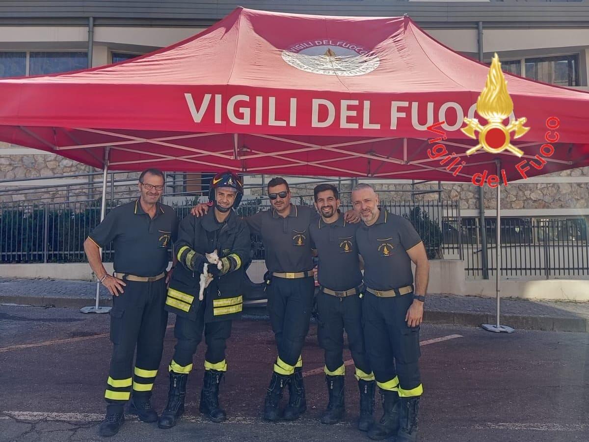 Lamezia Terme, gattino salvato dai Vigili del Fuoco durante i festeggiamenti patronali - 