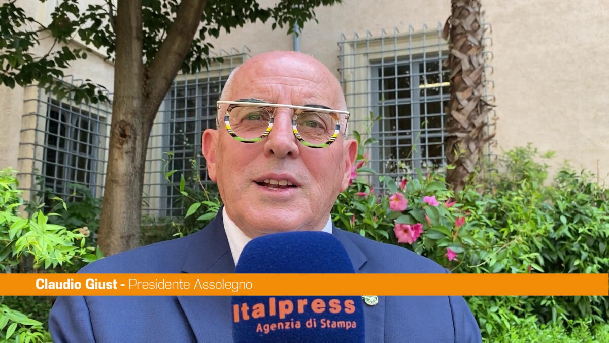 Assolegno, Giust "Siamo la parte amica del bosco" - 