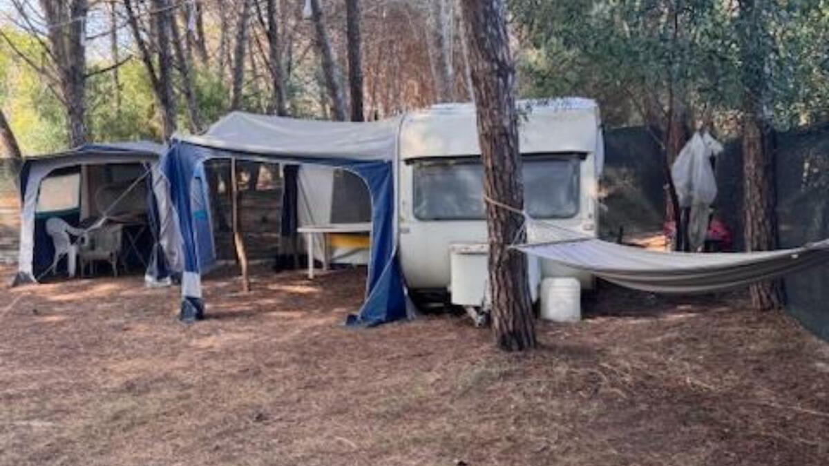 Operazione alla Foce del Neto: Carabinieri Forestali sequestrano aree e denunciano abusivi per deturpamento ambientale - 