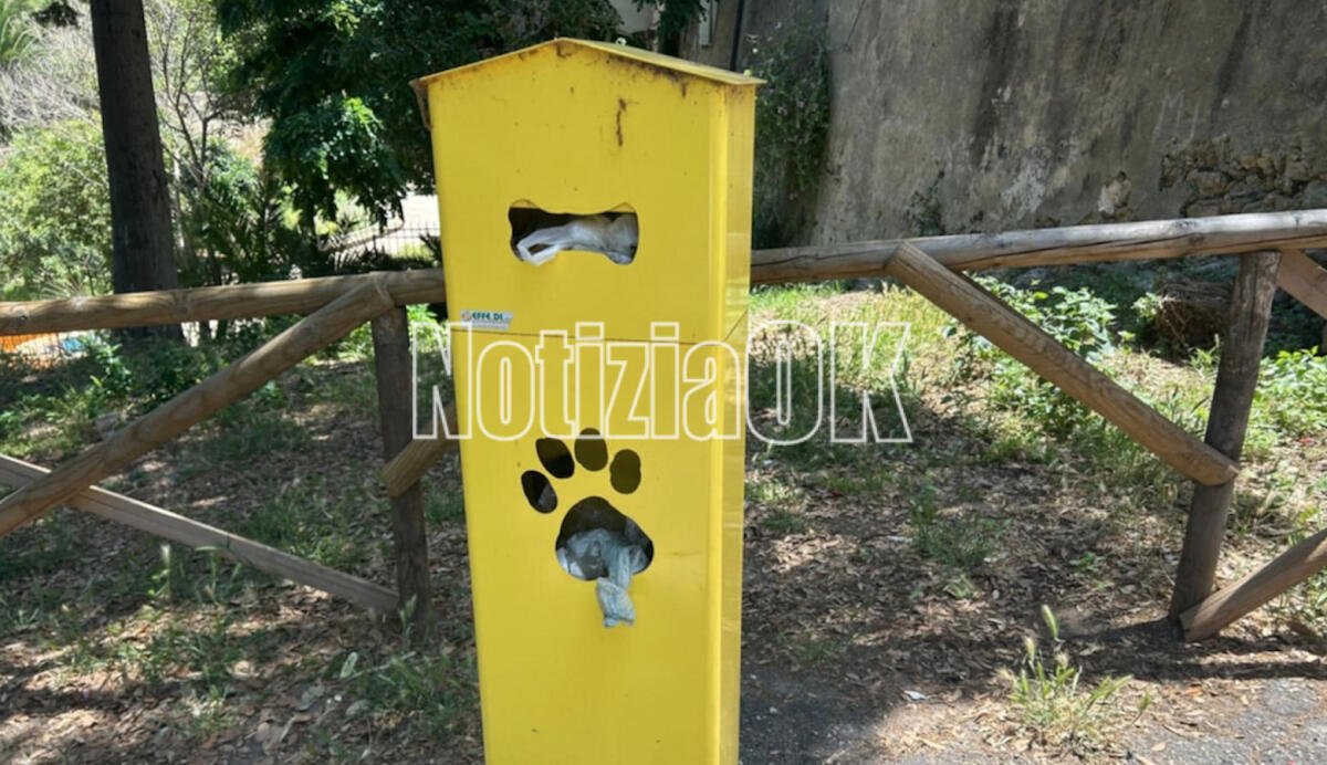 L'appello dei cittadini: «A Crotone servono più cestini per rifiuti e deiezioni canine» - 