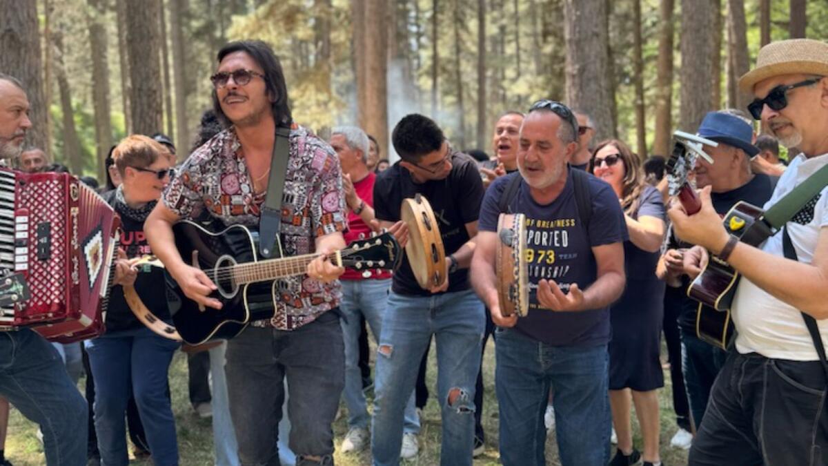 Transumando 2025: Camigliatello celebra la transumanza con due giorni di festa, sapori e musica - 