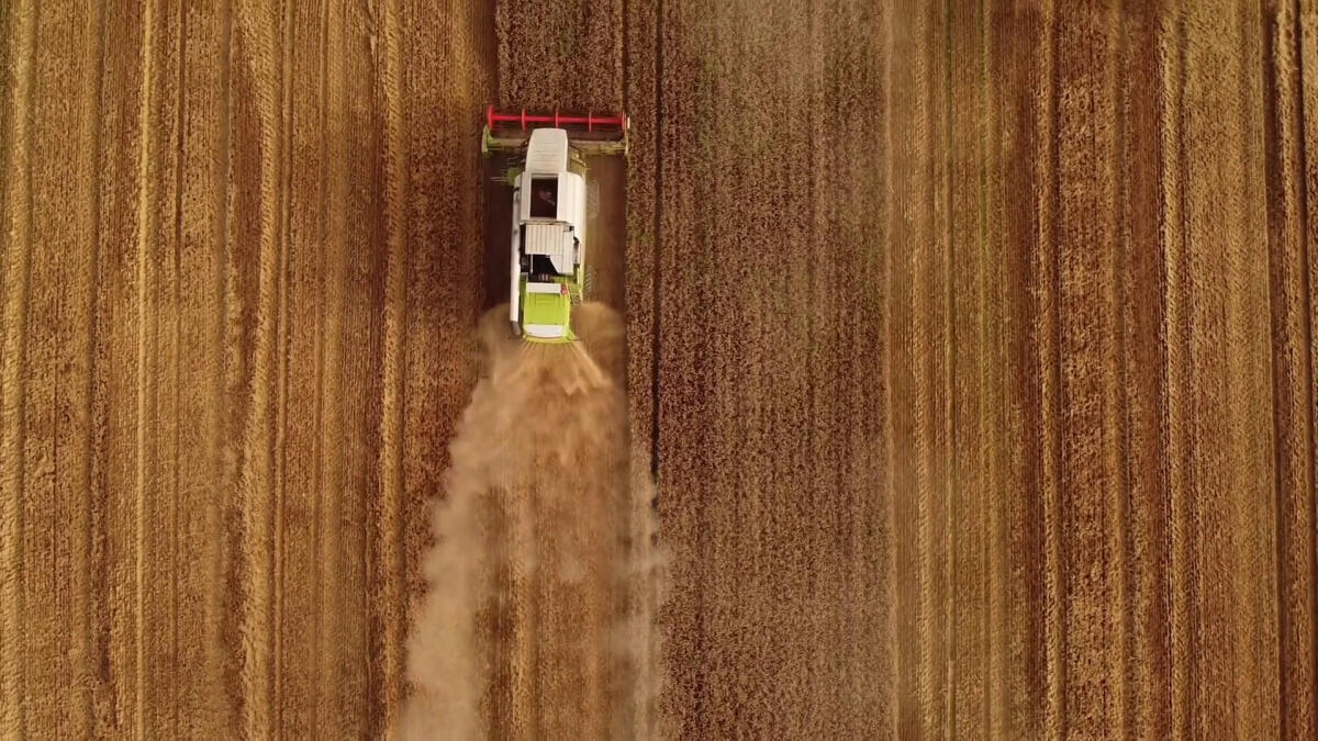 Agricoltura, nuovi finanziamenti per l'innovazione - 