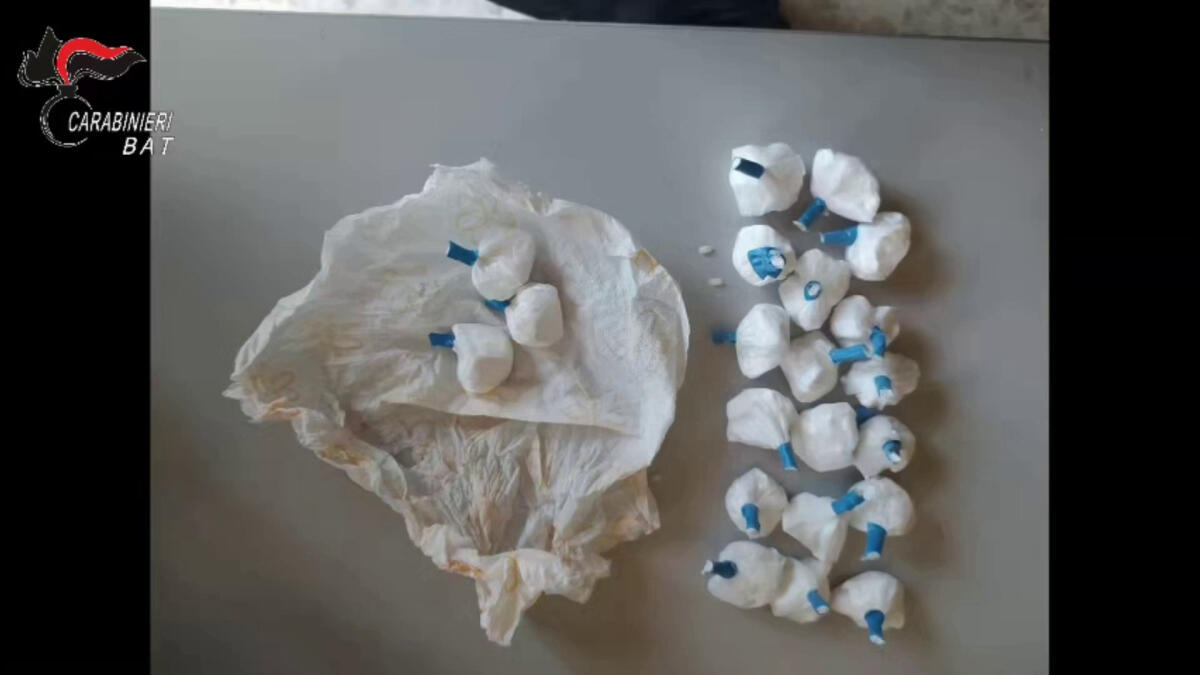 Nel barese sgominata banda dedita a estorsione e traffico di droga - 