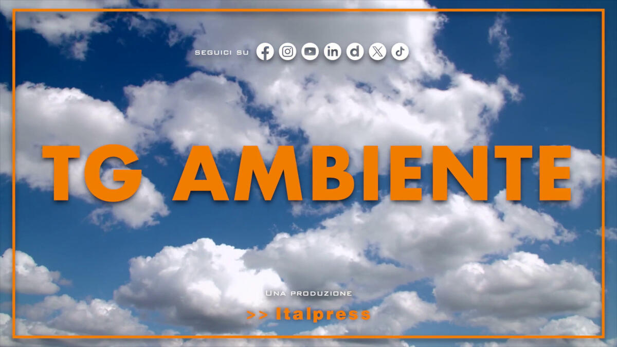 Tg Ambiente - 15/6/2025 -