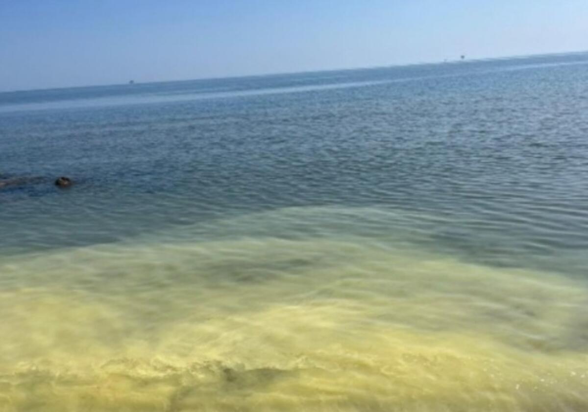 Chiazze giallastre in alcuni tratti di mare di Crotone: segnalazioni dei cittadini, Arpacal fornisce chiarimenti - 