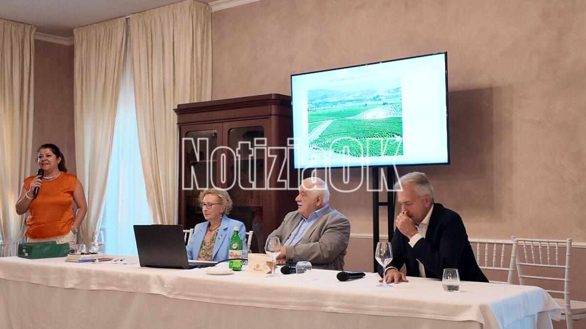 (Video) Dal cirotano e dal Merano Wine Festival parte un progetto di sviluppo e un laboratorio per il futuro della viticoltura - default