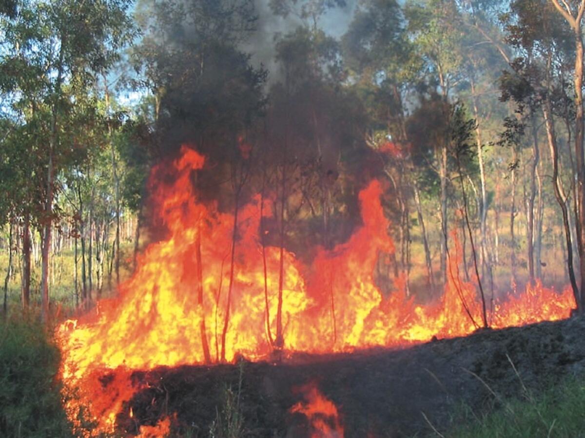 Villapiana, emessa un'ordinanza di sgombero delle aree interessate dal recente incendio - 