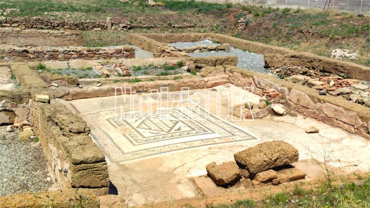 Il mosaico romano dei delfini a Capocolonna: un pezzo di storia apprezzato dai visitatori - 