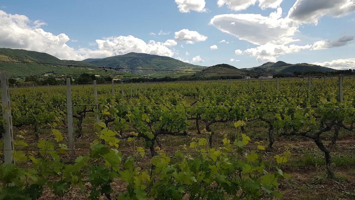 Alta Val d'Agri: Il press tour Terra di Enotri e storie di vino - 