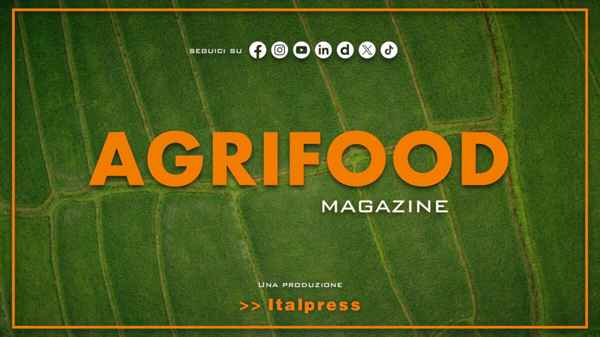 Agrifood Magazine - 4/6/2025 -