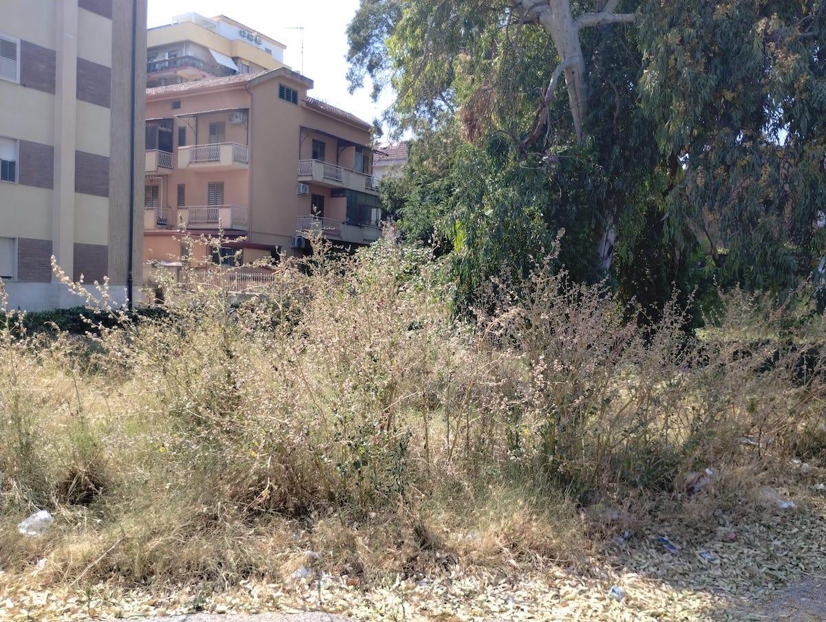 Catanzaro Lido, degrado a via Marco Polo: sterpaglie alte e rischio incendi. I residenti lanciano un appello al Comune - 
