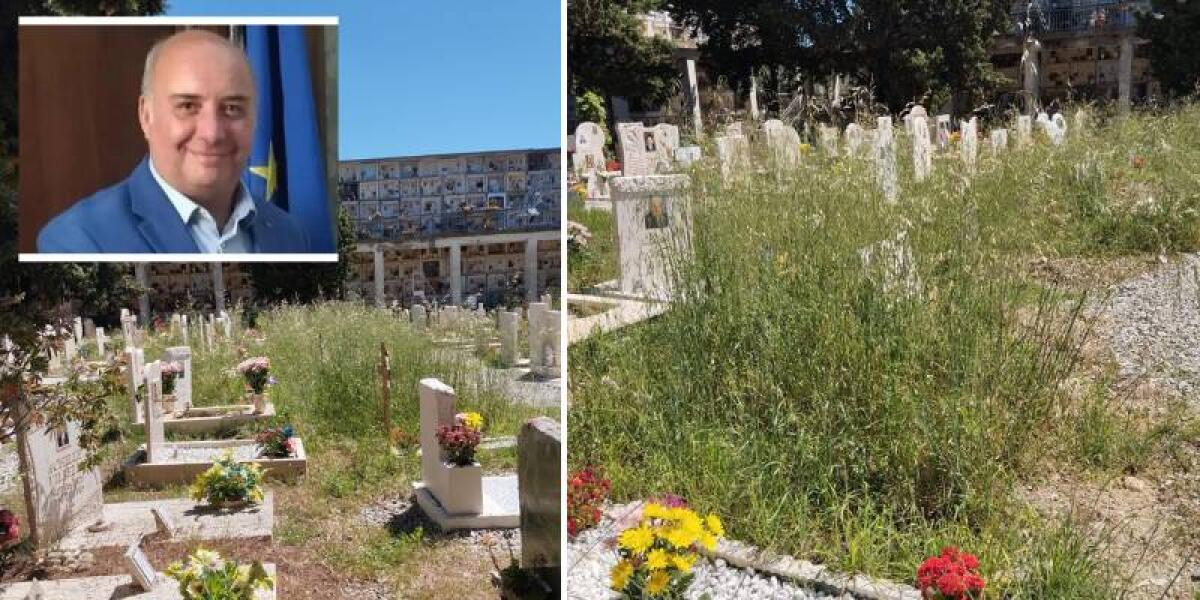 Andrea Critelli: "Erbacce al cimitero di via Paglia, l’amministrazione vive nel palazzo e ignora il degrado” - 
