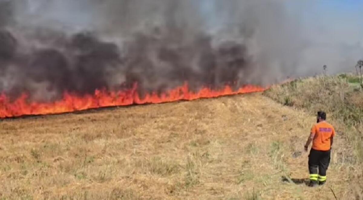 (Foto) Incendio tra Santa Domenica e Sovereto: weekend di fuoco con 50 unità sul campo, due elicotteri e un canadair - 