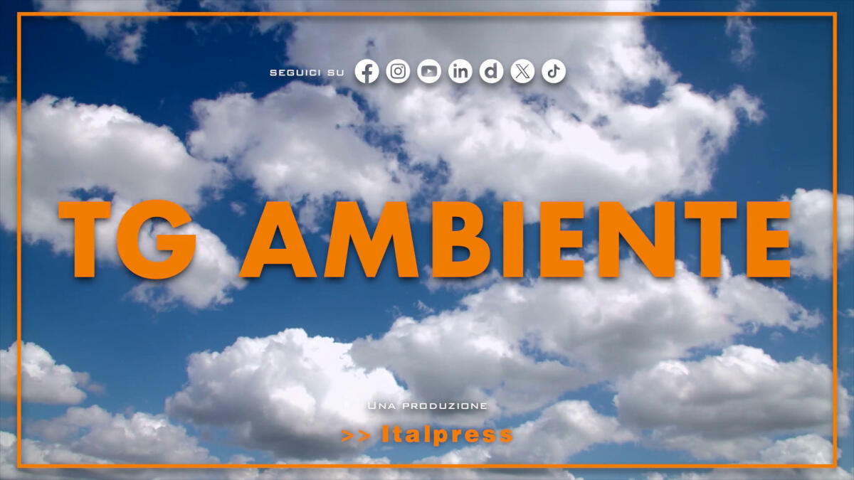 Tg Ambiente - 8/6/2025 -