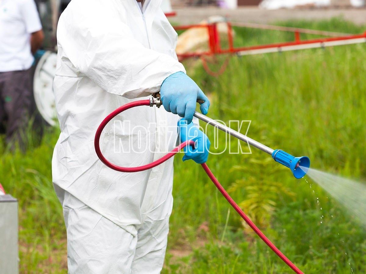 Guardavalle, intervento di disinfestazione contro zanzare e mosche previsto per venerdì 27 giugno - 
