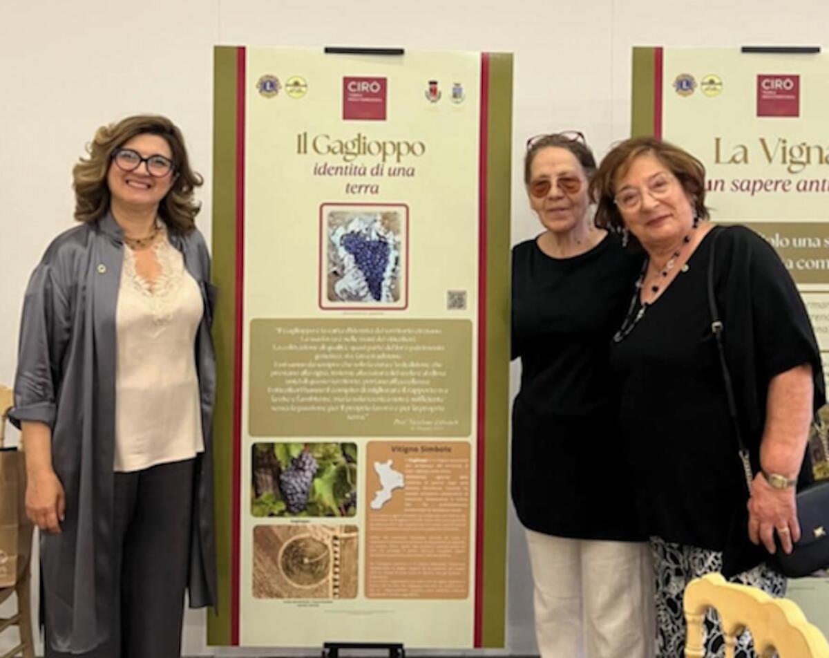 Progetto culturale “Cirò Terra Mediterranea” – Informativa sulle fonti e sulla genesi del lavoro - 