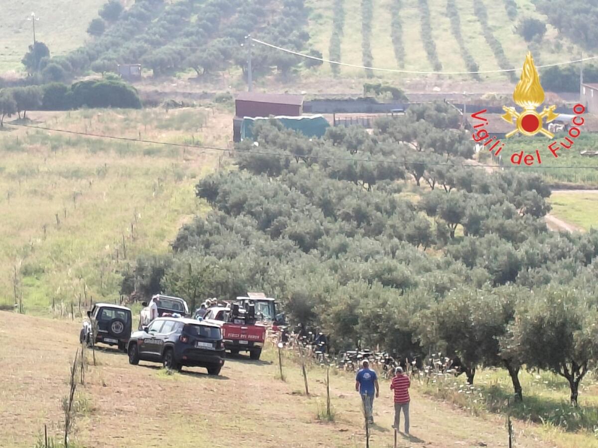In Calabria, grave incidente agricolo: trattore si ribalta a Zagarise, uomo ferito - 