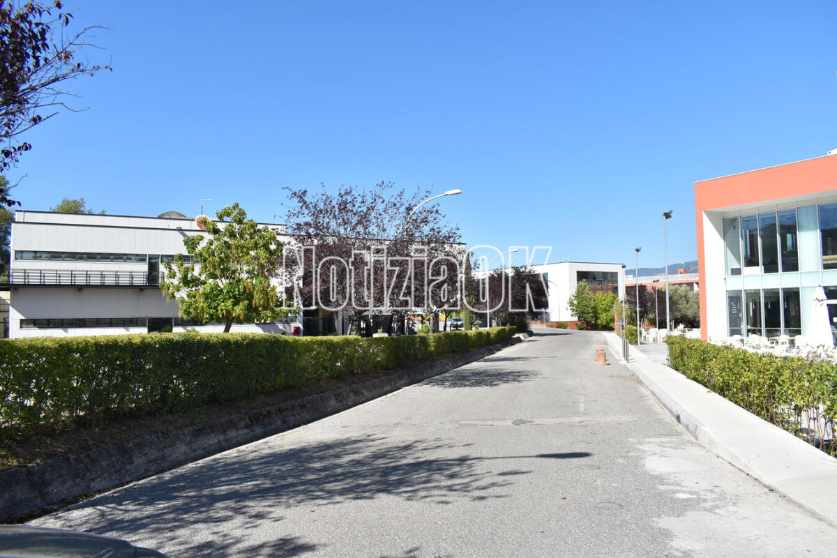 Turismo subacqueo tra Crotone e Roccella: parte da qui “BlueCulTour”, il progetto internazionale Italia-Grecia per valorizzare il patrimonio sommerso - 
