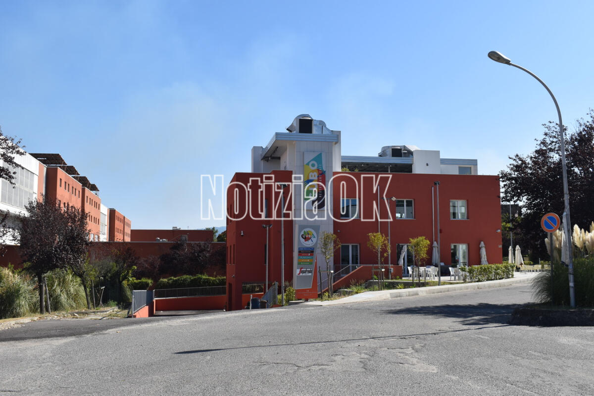 Unical da record: triplicate le domande di ammissione anticipata - 