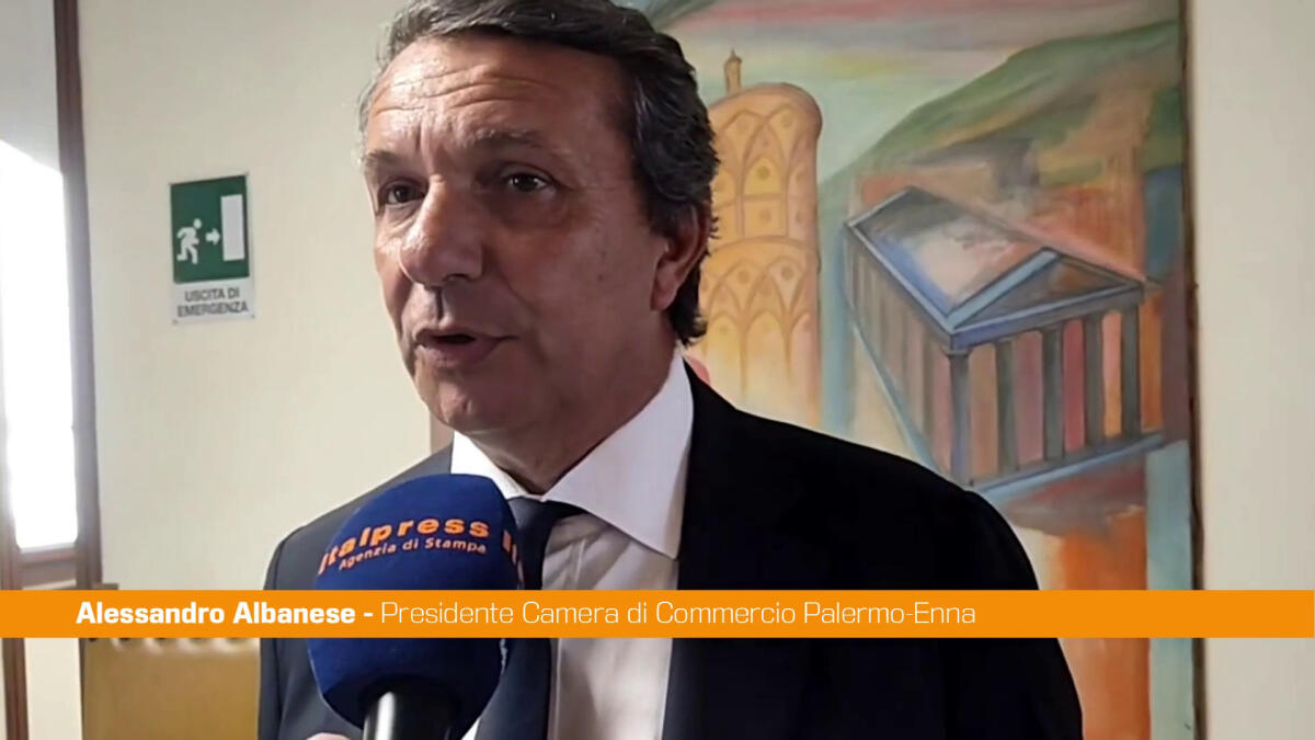 Albanese "Per aeroporti siciliani idea authority sotto egida Regione" - 