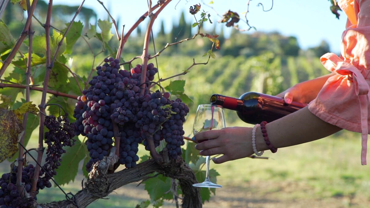 Vino e pasta trainano il Made in Italy nel mondo -