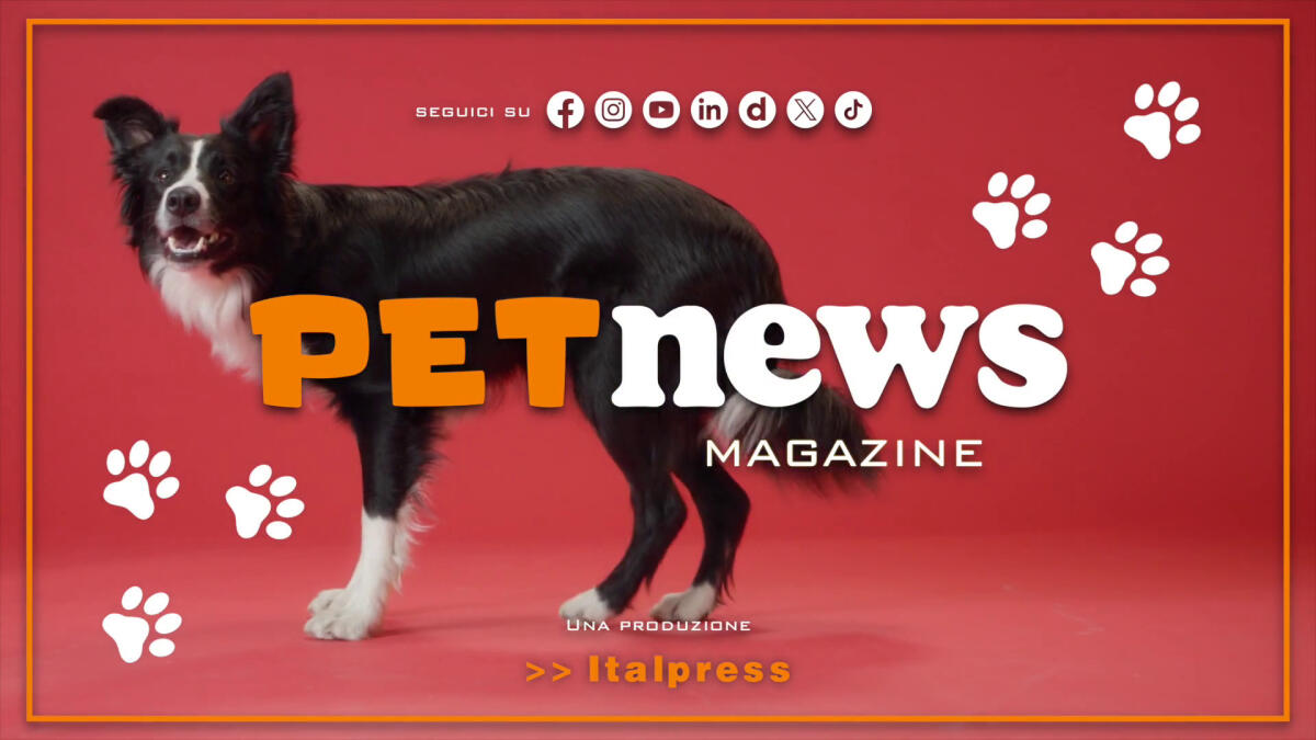 PetNews Magazine - 23/6/2025 - 