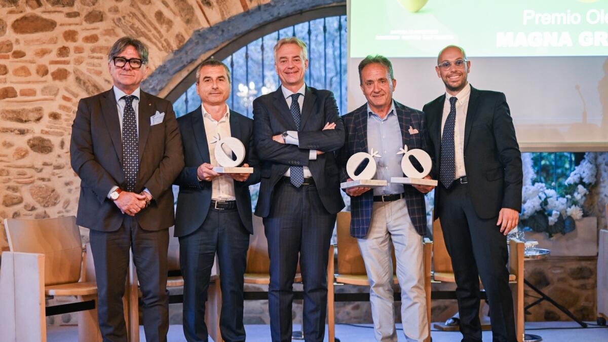Tra ulivi secolari e sapori autentici: il Chicco d’Oro celebra l’eccellenza olearia calabrese - 