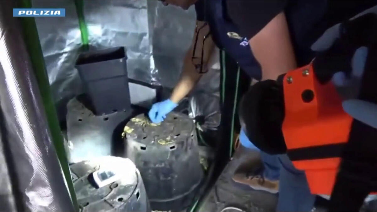 Operazione antidroga a Caltanissetta, 11 misure cautelari - 