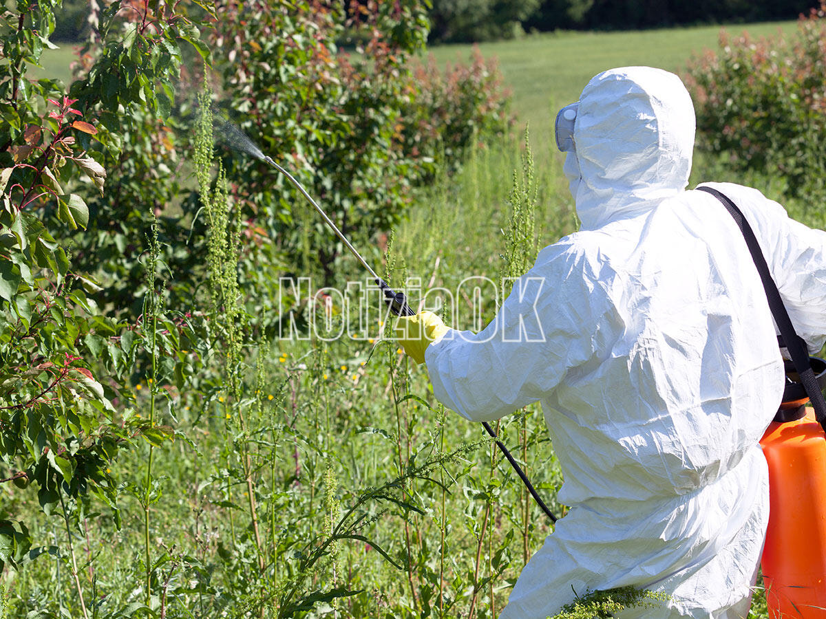 Vaccarizzo: zanzare e insetti, parte la disinfestazione -
