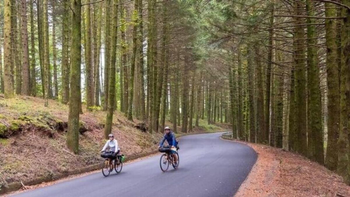 Cicloturismo, la Calabria incanta il raduno europeo BAM! 2025 con oltre 7 mila visitatori - 