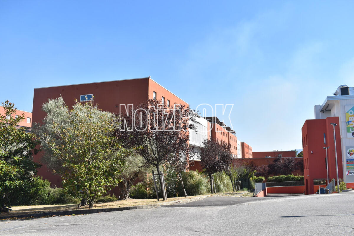 Unical, Maria Mirabelli nuova direttrice del DiCES - 
