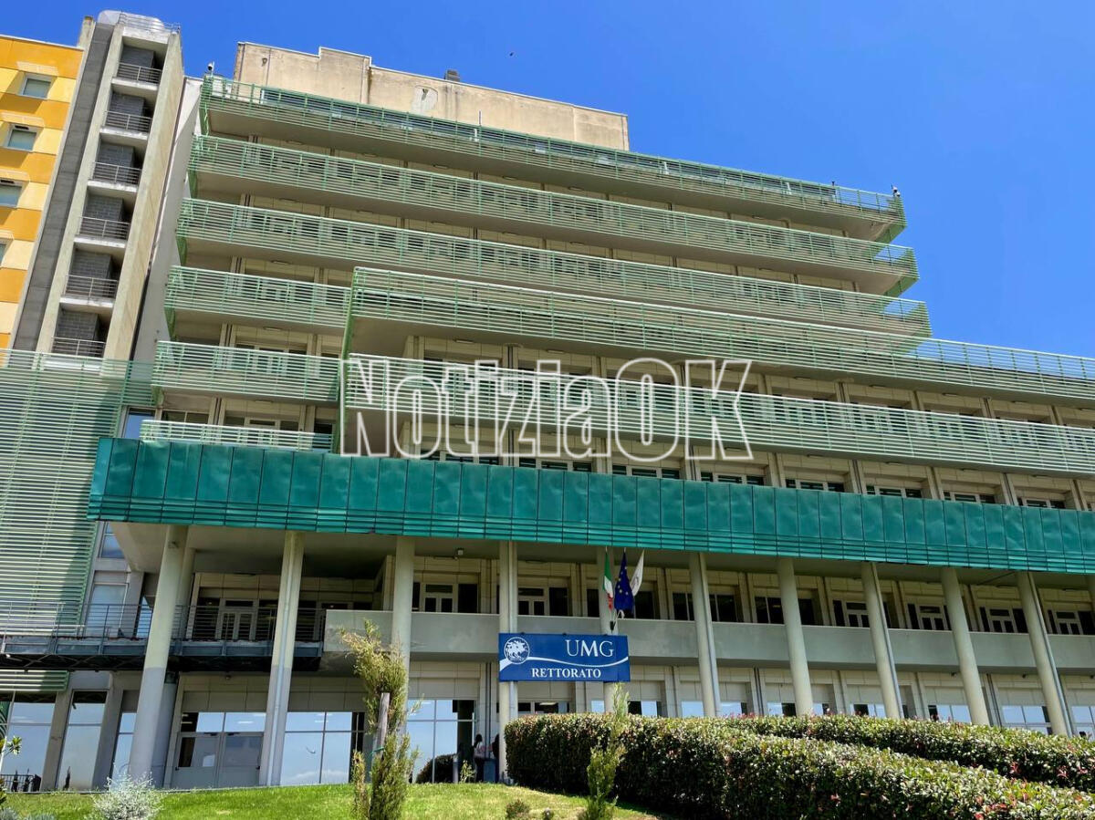 Università Magna Graecia-ConfCommercio Calabria Centrale: formazione e sviluppo imprenditoriale per i giovani - 