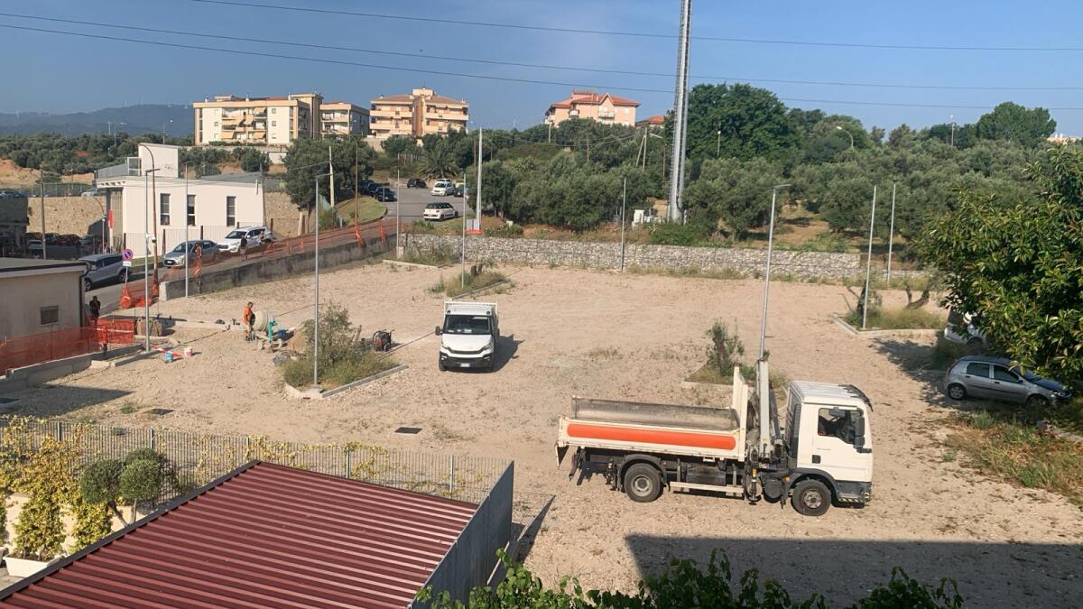Soverato - Allarme ulivi secolari: l'appello è del Comitato Pro-Orto Botanico di Santicelli - 