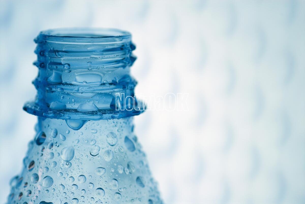 Corigliano-Rossano, Giornata dell'acqua: i bambini della Magnolia imparano giocando ad utilizzarla responsabilmente - 
