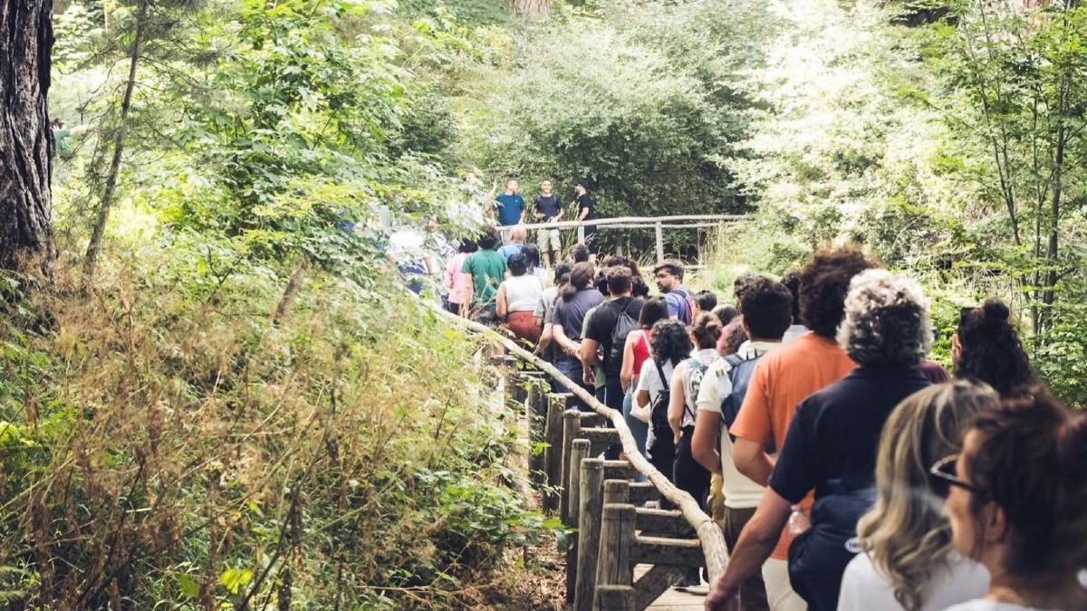 Be Alternative Festival: luglio all'insegna di musica e natura nei "Giganti della Sila" - 