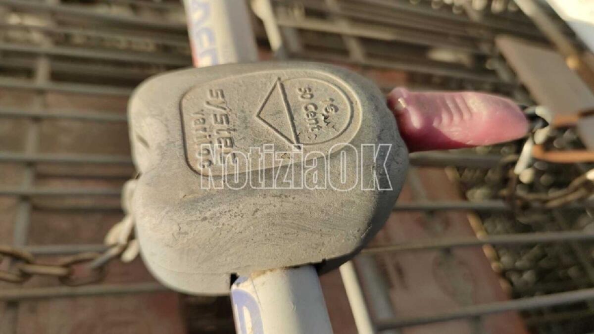 Curiosità dal mondo: l’euro nel carrello della spesa: a cosa serve veramente? - 