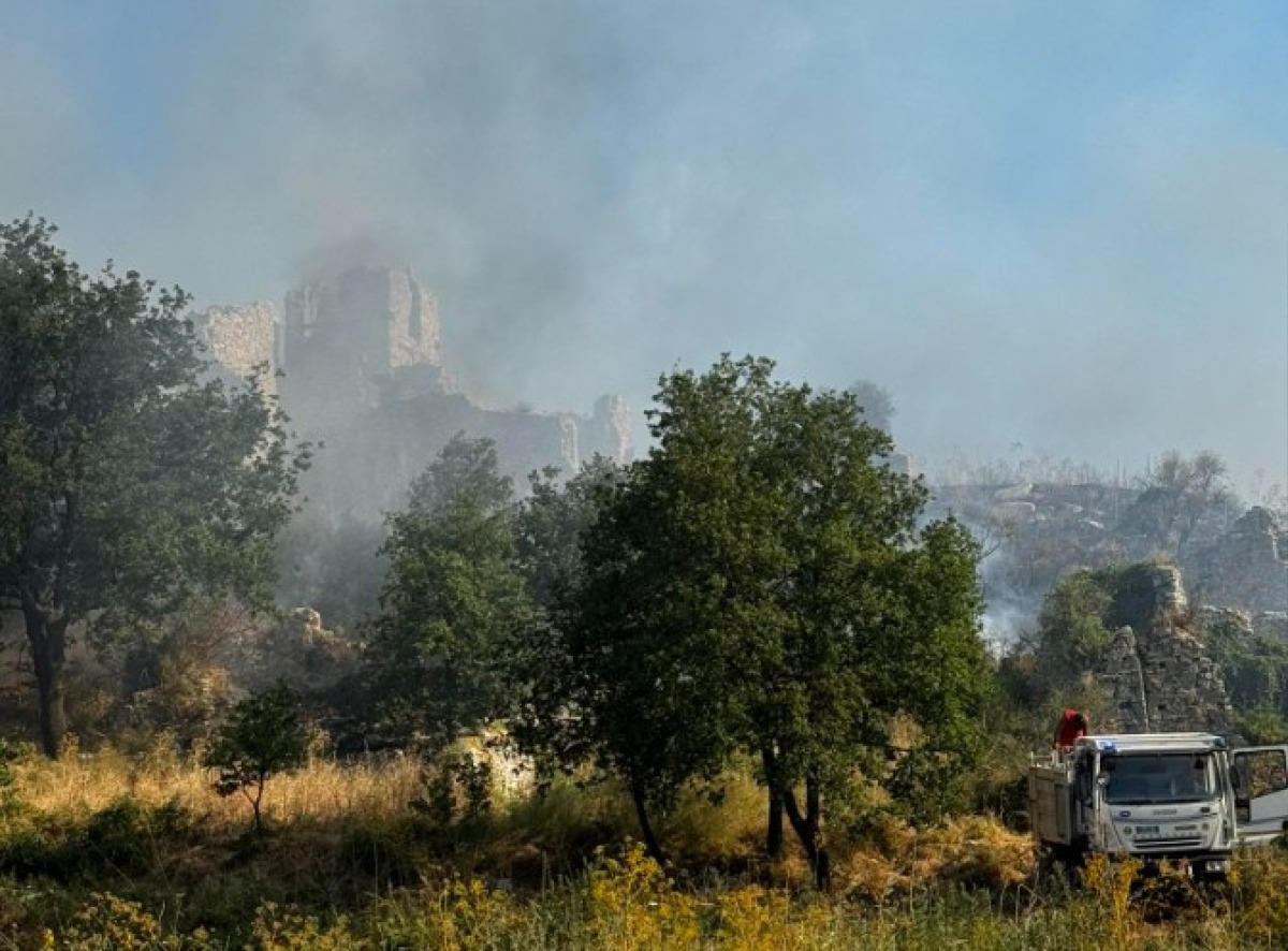 Incendio al Sito Archeologico di Cerenzia: situazione sotto controllo - 