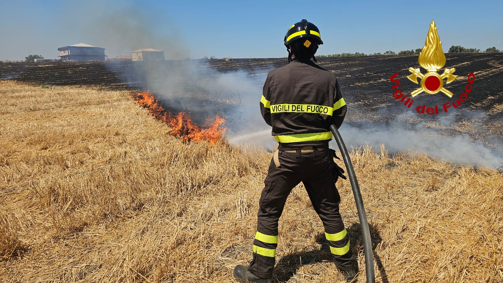 Crotone brucia: caldo e vento scatenano una giornata di fuoco - 