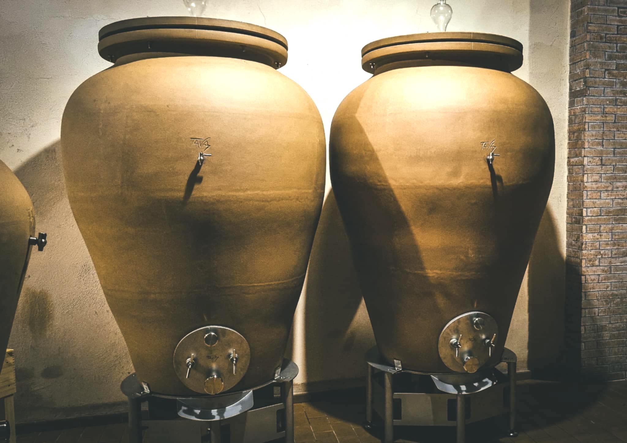 Cirò marina - Alla Tenuta Iuzzolini il primo Gaglioppo affinato come ai tempi della Magna Grecia - 