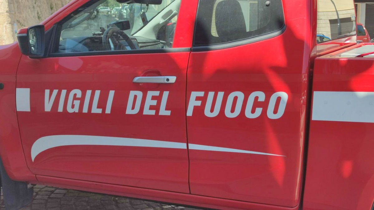 Incendio al di fuori della sede stradale: intervento dei Vigili del Fuoco - 