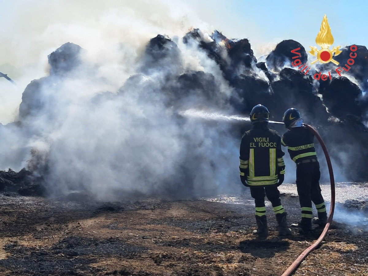 Vasto incendio in azienda agricola: intervento dei Vigili del Fuoco - 