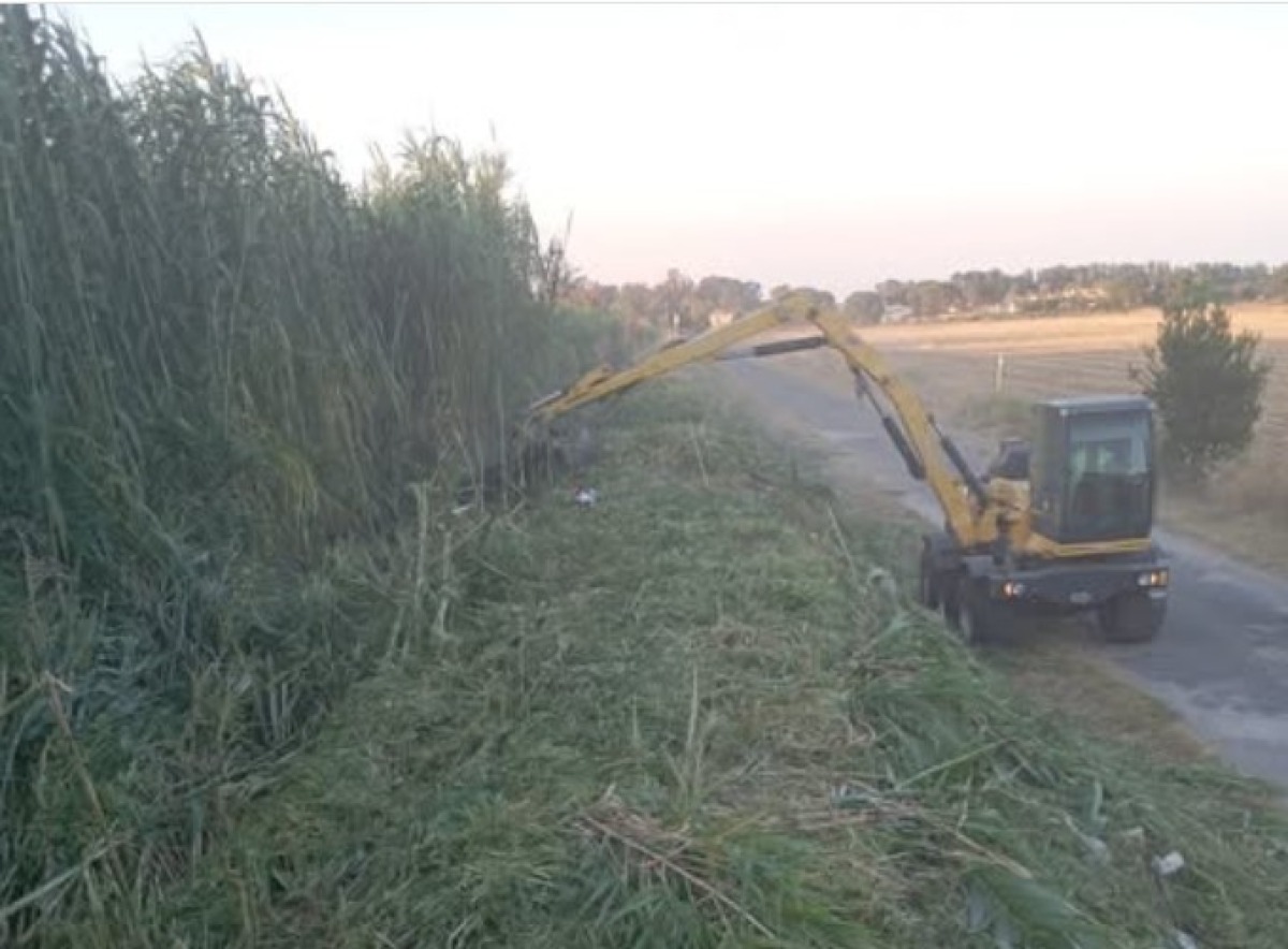 Botricello, avviati i lavori di pulizia e messa in sicurezza dei burroni - 