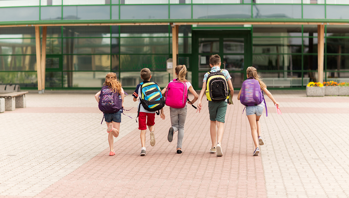 Invalsi 2025, segnali positivi in Calabria nella lotta alla dispersione, restano i divari negli apprendimenti - 