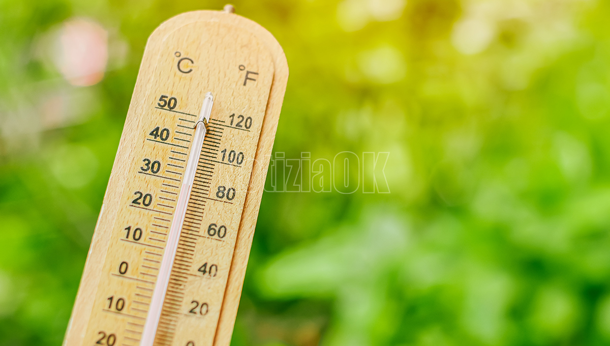 Catanzaro, al via da lunedì 28 luglio SOS Caldo con numero verde dedicato a supporto degli anziani soli  - 