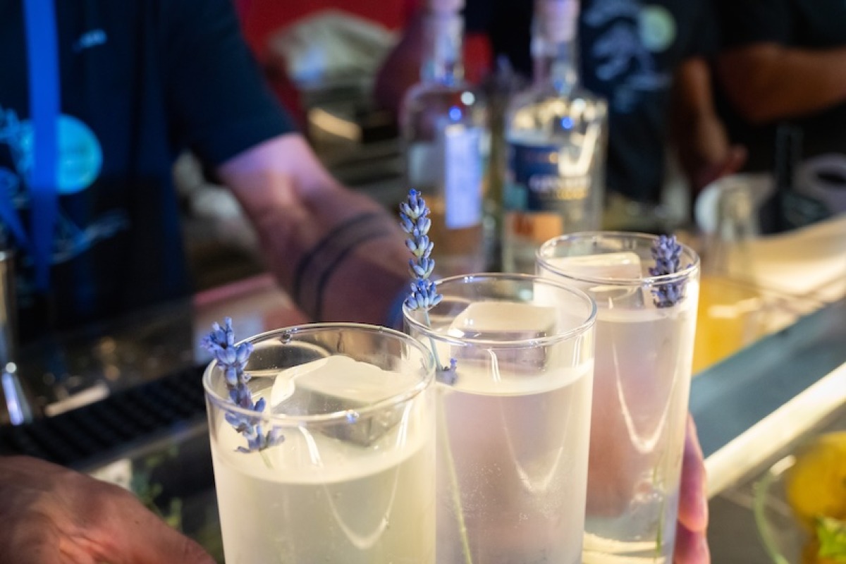 Al via Pollino Cocktail Camp 2025 - 