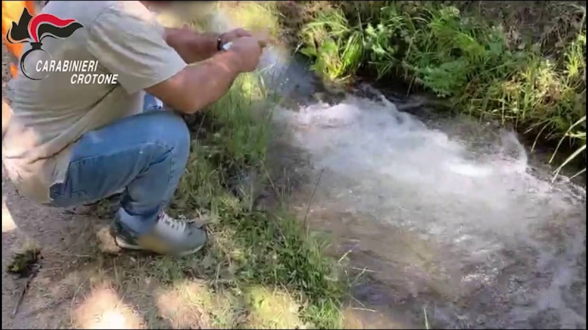 (VIDEO) Petilia Policastro: scoperto allaccio abusivo di 2 km alla rete idrica. Un denunciato - 