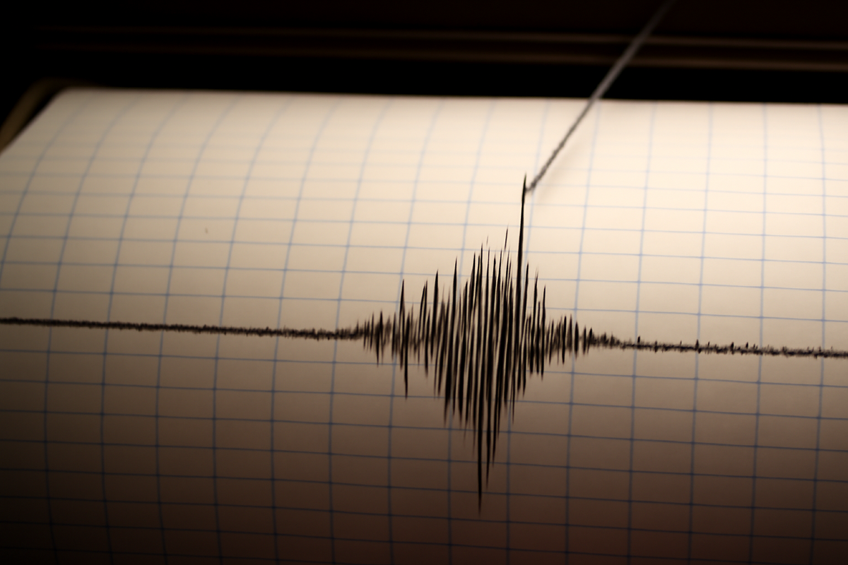 Terremoto di magnitudo 3.3 registrato nel cuore della Calabria - 