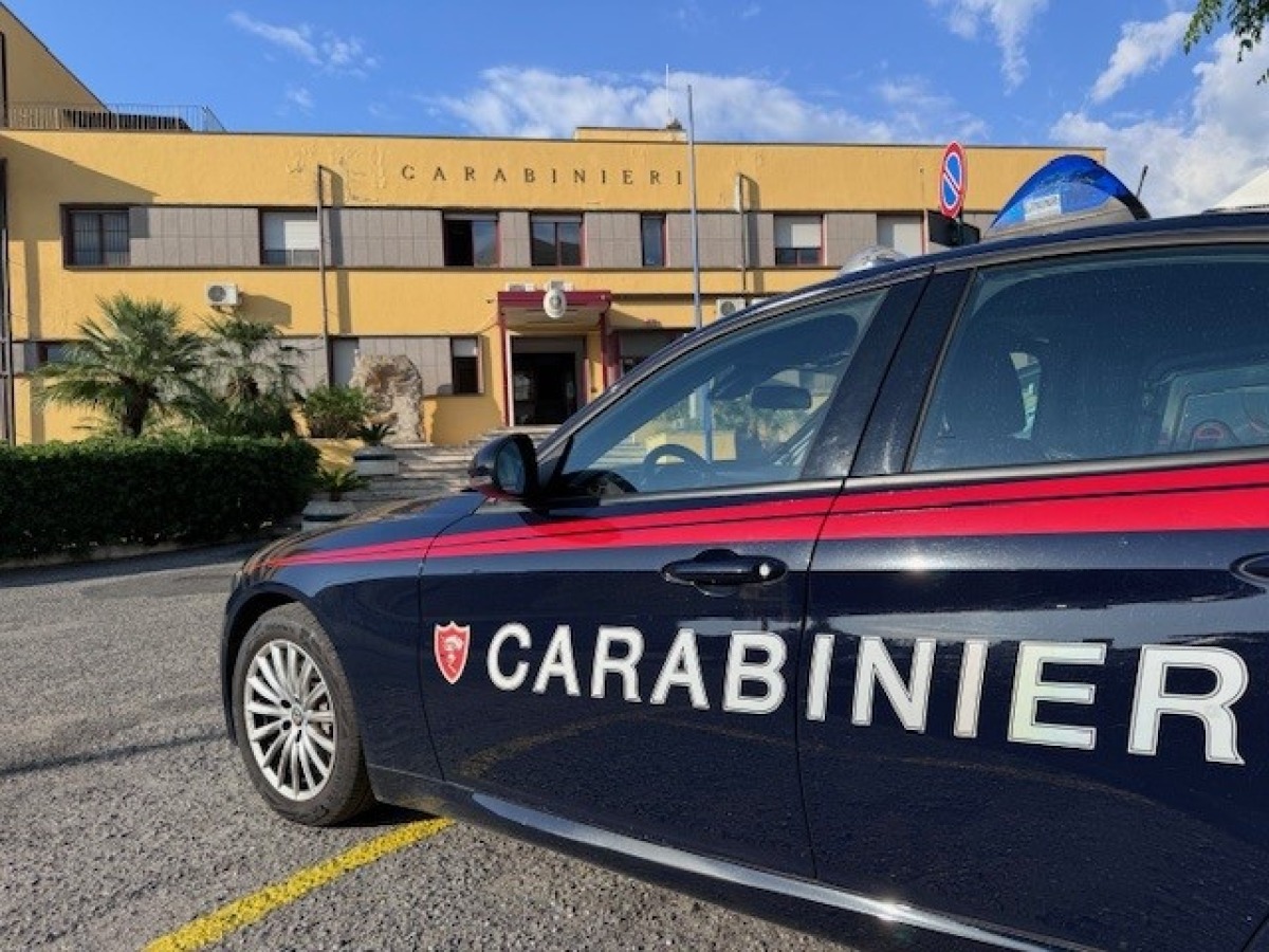 Catanzaro, arrestato proprietario di un negozio di "cannabis light": sequestrati oltre 2,5 kg di droga - 